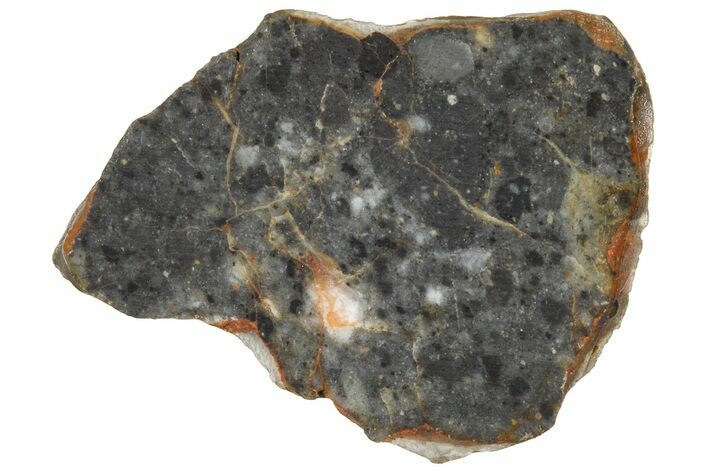 Lunar Meteorite ( g) Slice - Bechar #360558